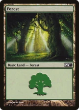Forest card image