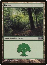Forest card image