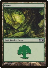 Forest card image