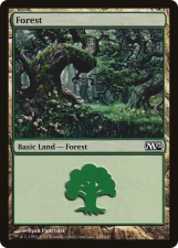 Forest card image