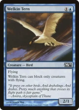 Welkin Tern card image