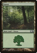 Forest card image