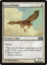 Suntail Hawk card image