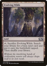 Evolving Wilds card image