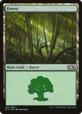 Forest card image