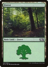 Forest card image
