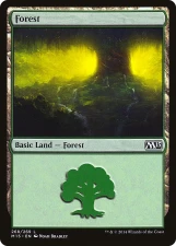 Forest card image