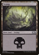 Swamp card image
