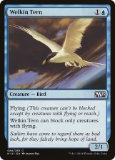 Welkin Tern card image
