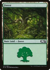 Forest card image