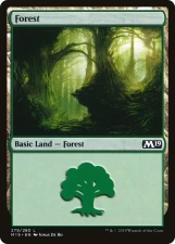 Forest card image