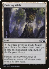 Evolving Wilds card image