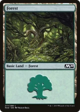 Forest card image