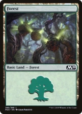 Forest card image