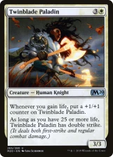 Twinblade Paladin card image