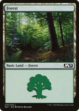 Forest card image