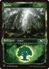 Forest card image