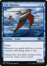 Tide Skimmer card image