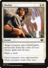 Shelter card image