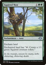 Squirrel Nest card image