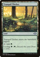 Tranquil Thicket card image