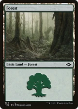 Forest card image