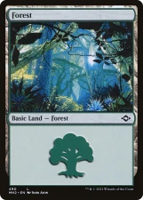 Forest card image