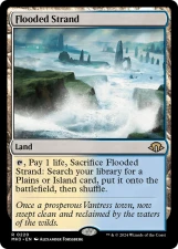 Flooded Strand card image