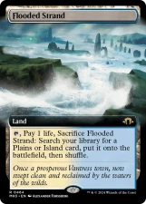 Flooded Strand card image