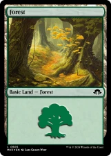 Forest card image