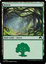 Forest card image