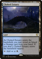 Choked Estuary card image