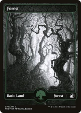 Forest card image