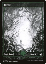 Forest card image