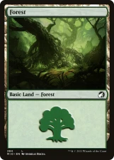 Forest card image