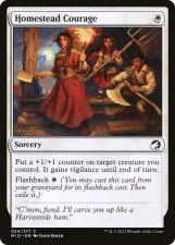 Homestead Courage card image