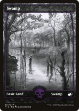 Swamp card image