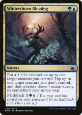 Winterthorn Blessing card image