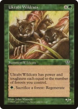 Uktabi Wildcats card image