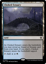 Choked Estuary card image