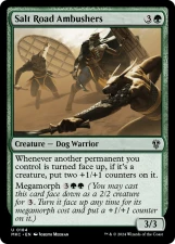 Salt Road Ambushers card image