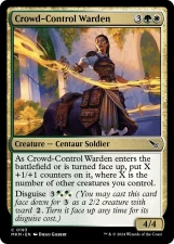Crowd-Control Warden card image