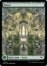 Forest card image