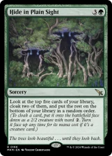 Hide in Plain Sight card image
