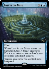 Lost in the Maze card image