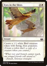 Eyes in the Skies card image
