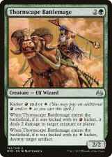 Thornscape Battlemage card image