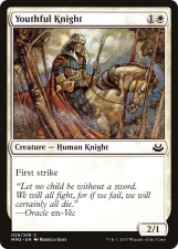 Youthful Knight card image