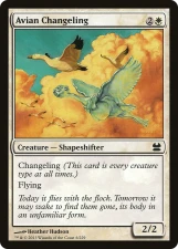 Avian Changeling card image