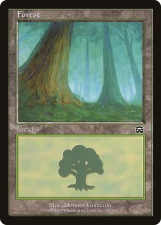 Forest card image
